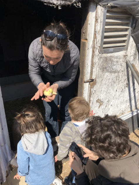 Belle Vie Farm + Kitchen 5