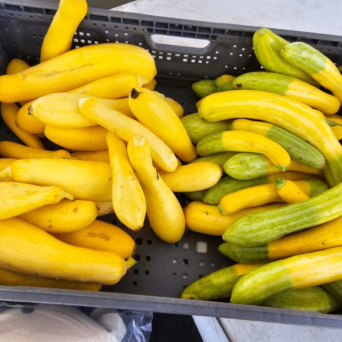 Clayton Farmers Market 3